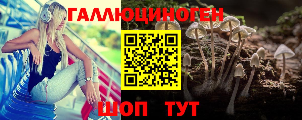 Галлюциногенные грибы Cubensis Муром